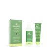 Permanent Hair Dye Green Pepper 60+60 ml